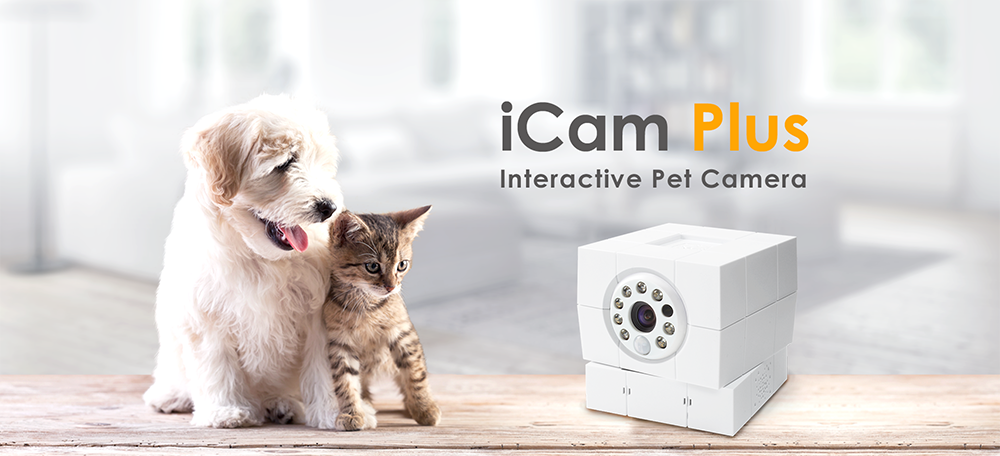 مانیتورینگ دوربین IP خانگی به همراه حیوانات