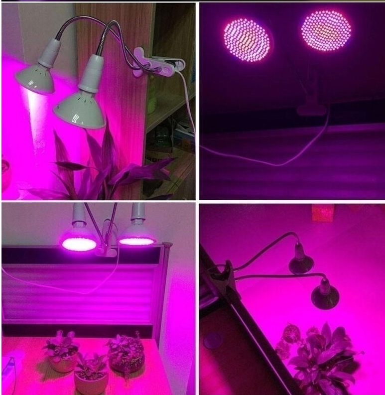 نور مصنوعی برای گیاهان