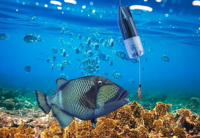 دوربین ماهی زیر آب