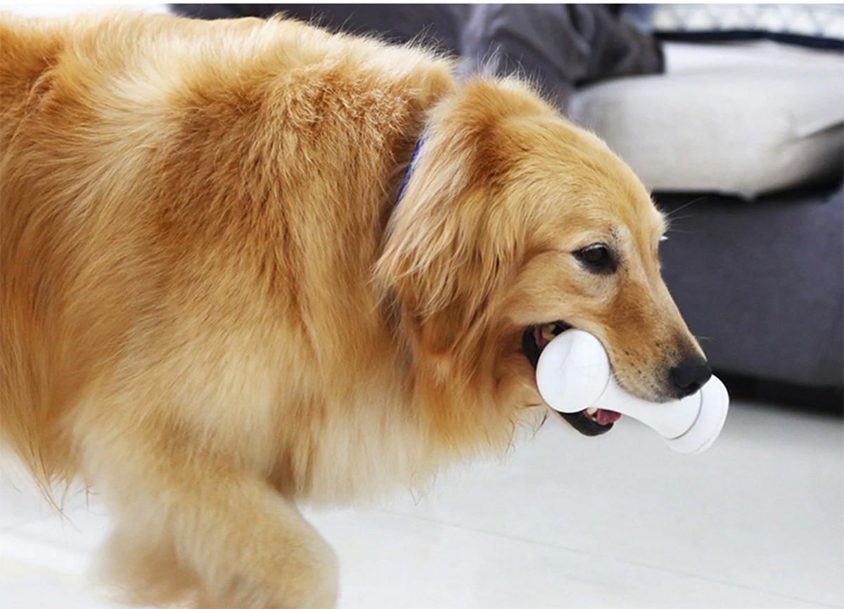 اسباب بازی استخوانی هوشمند برای سگ ها استخوان بد