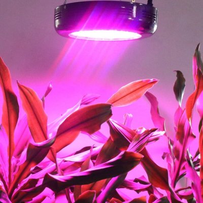 نور Ufo LED رشد می کند